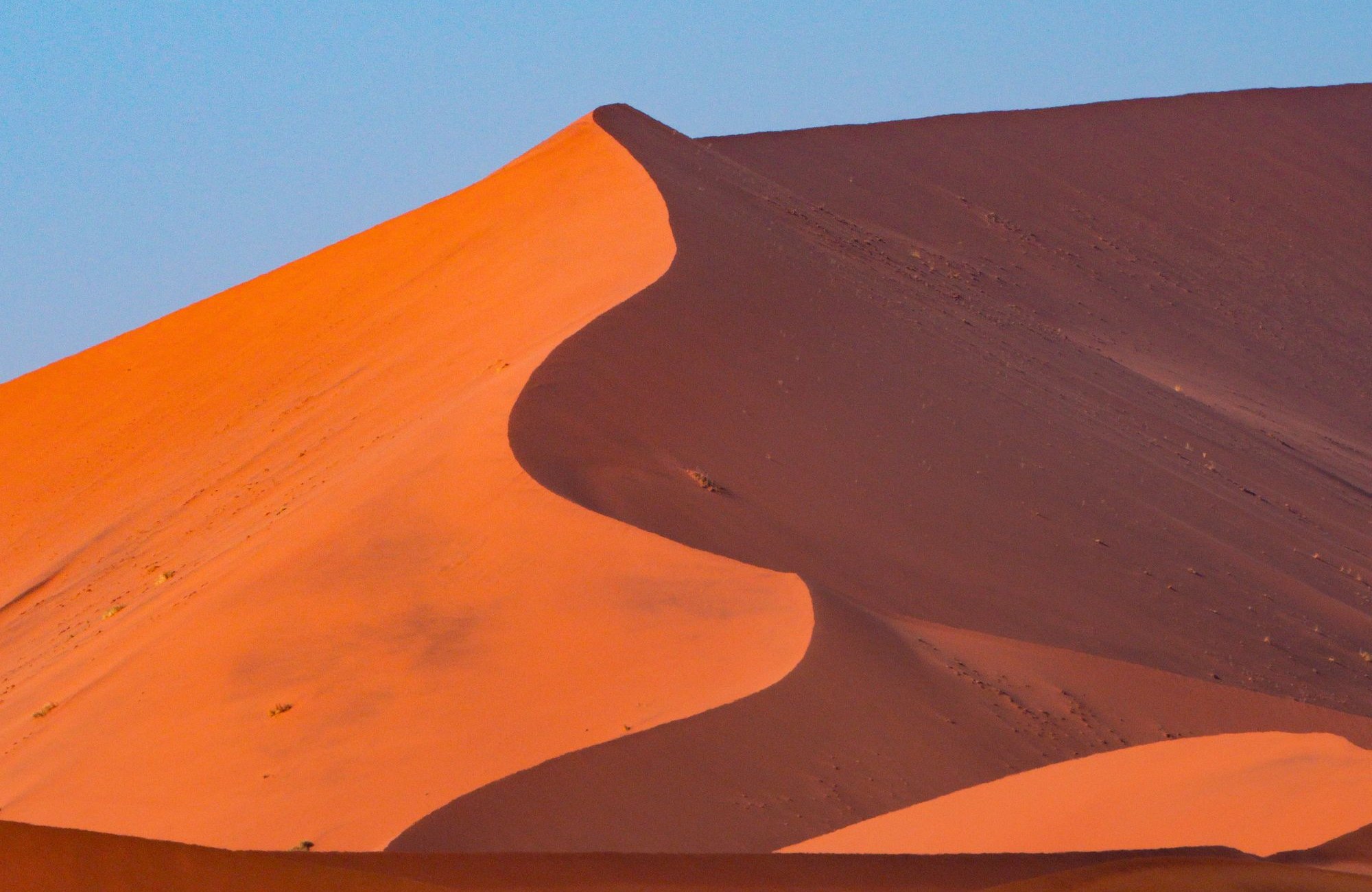 Curved red dune ridge under a clear sky in Sossusvlei, Namibia