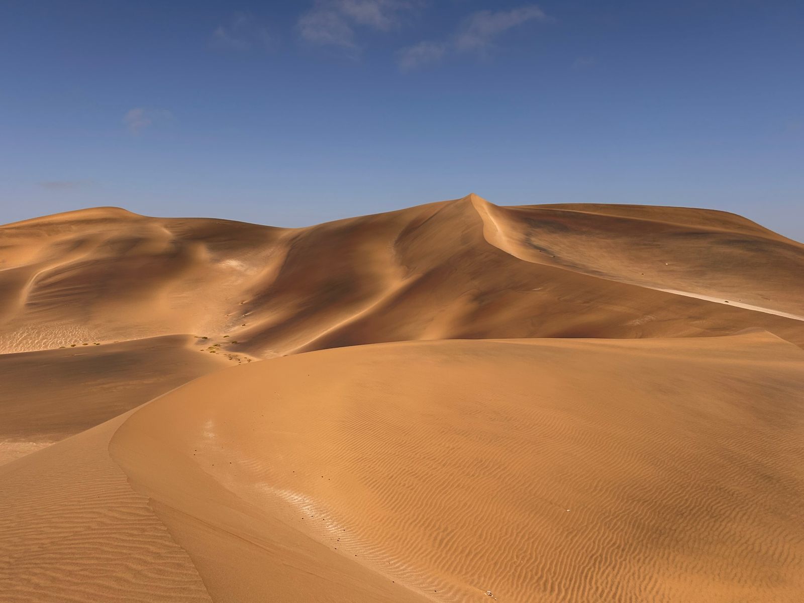 Dunes near Swakopmund, Namibia